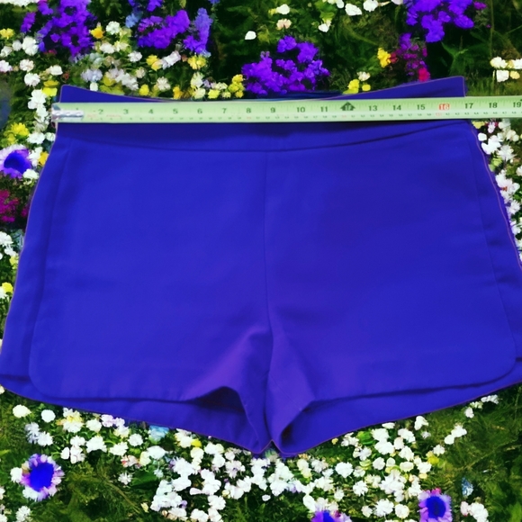 J. Crew Ladies Shorts - Picture 3 of 7